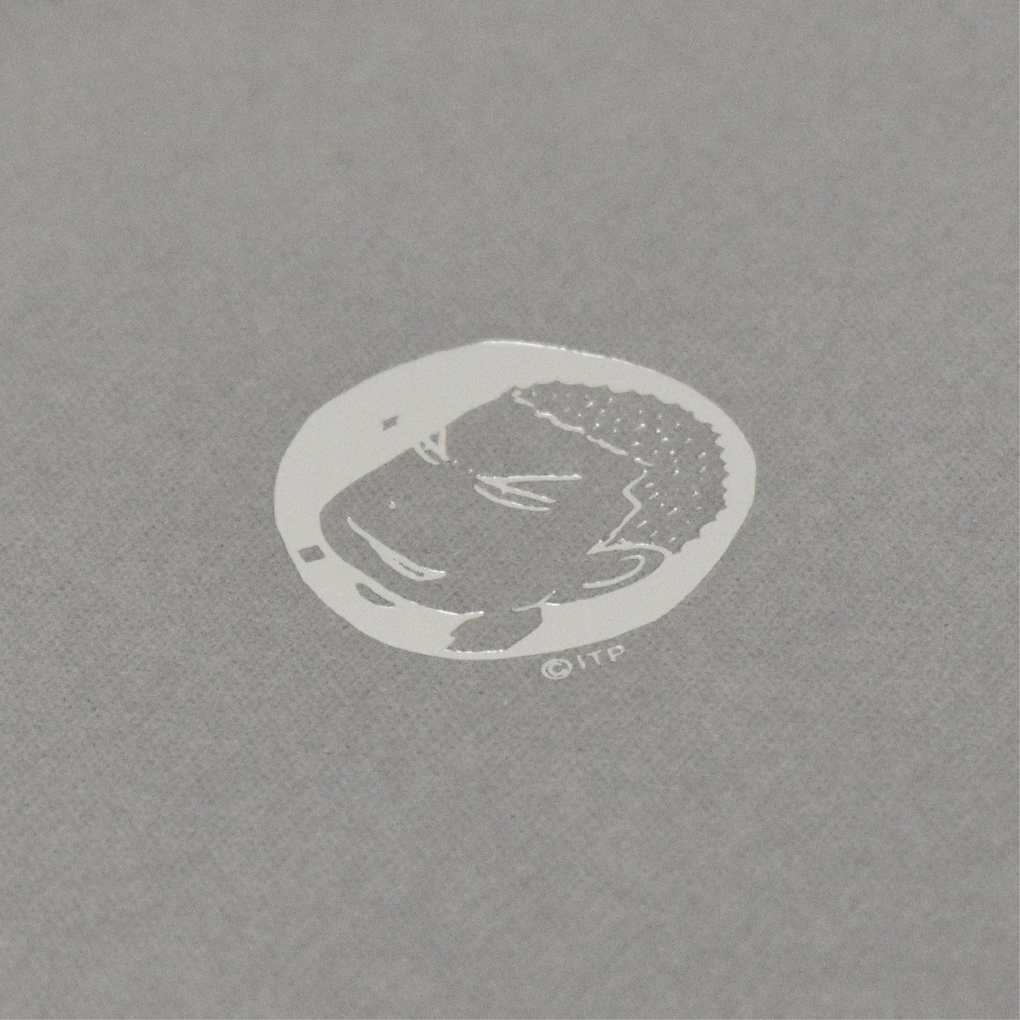 Hanamichi Plotting Notebook 6